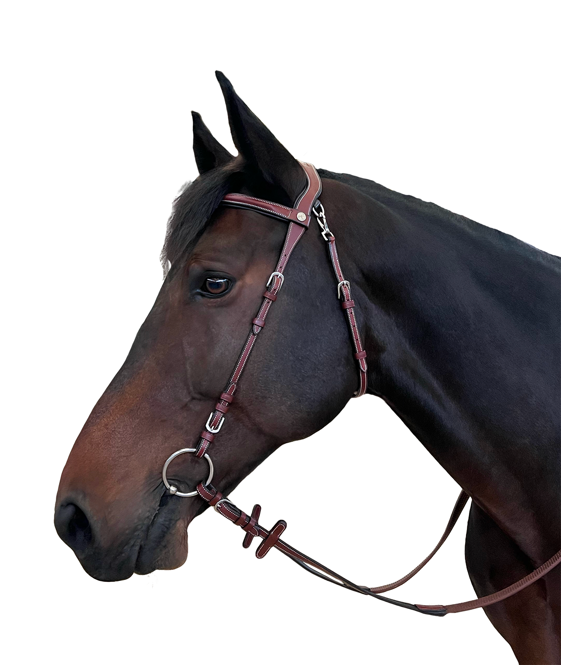 Bridon Flags & Cup Freedom Marron