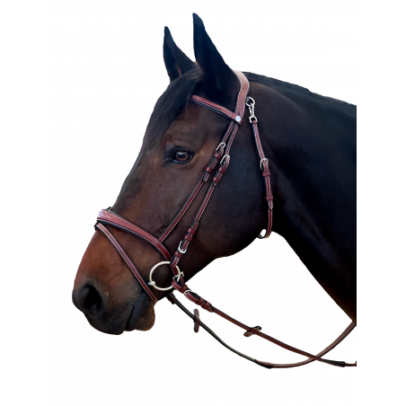 Trensenzaum Flags & Cup New York