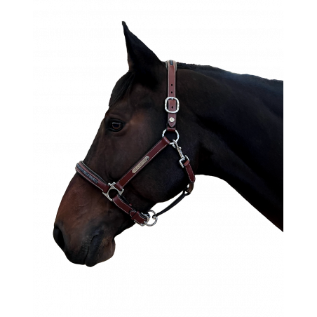 Caveçon Aachen Flags & Cup