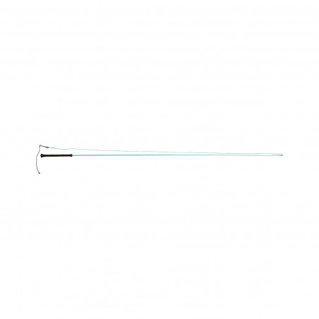 Longierpeitsche Dublin Brights