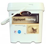 Equisport Jährlingspferde Meister