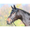 Trense Carat Jump'In One Premium - Schwarz