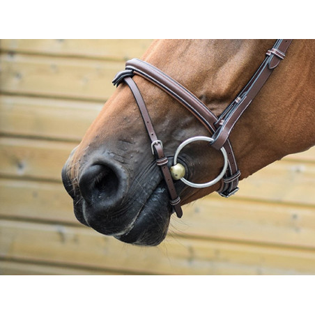 Nasenriemen London Jump'In One