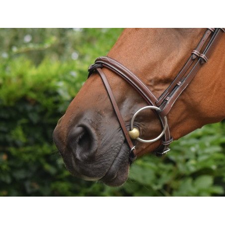 Nasenriemen Paris Jump'In One