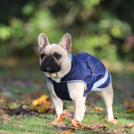 Hundedecke Bucas Freedom 150g