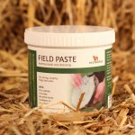 Feld Paste Rotes Pferd