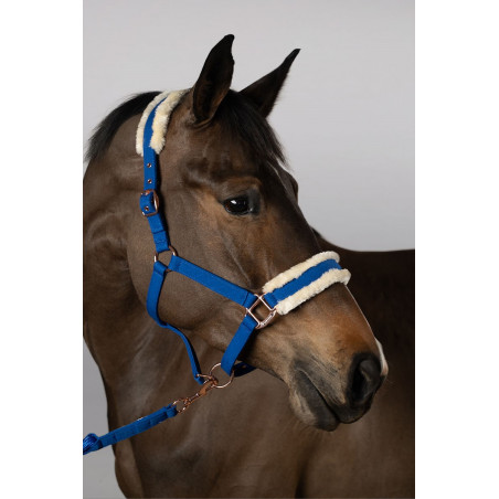 Halfter und Führstrick Harcour Holly