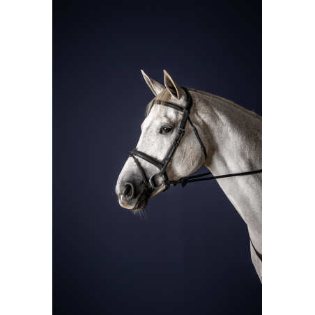 Kombiniertes Reithalfter Bridon Dy'on New English Collection