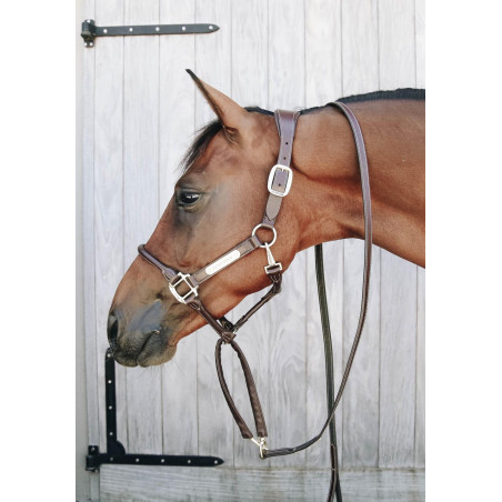 Präsentationsstrick und Kette aus Kentucky-Leder