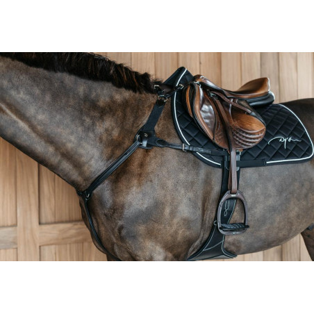 Brustblatt 5-Punkt mit Elastik New English Collection Dy'on