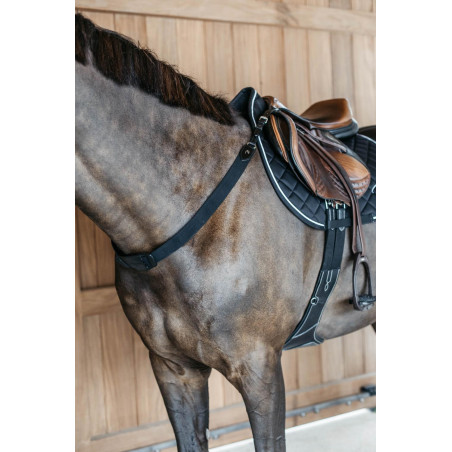 Elastischer Vorderzeug New English Collection Dy'on