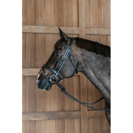 Kombinierter Reithalfter-Zaum mit Karabinerhaken Working by Dy'on