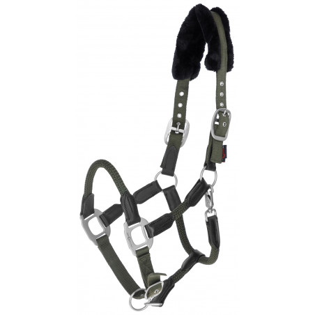 Halfter Cordano Covalliero