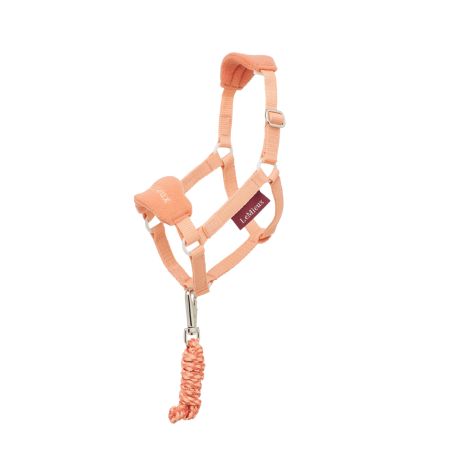 Halfter für Hobby Horse LeMieux