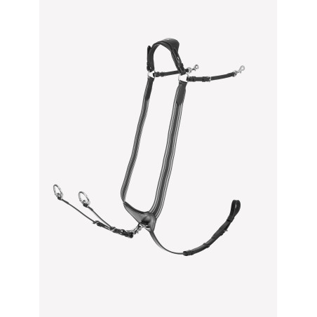 Elastischer Vorderzeug Arika LeMieux