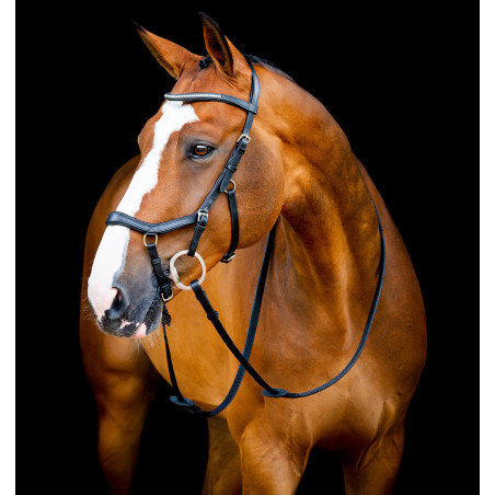 Wettkampfzaumzeug Micklem® 2 Diamante Horseware