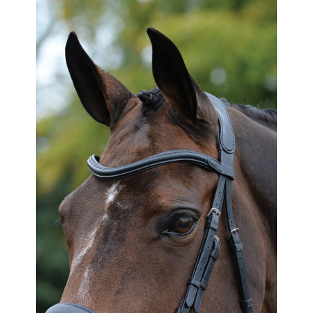 Anatomisches Zaumzeug Collegiate ComFiTec Vogue