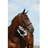 Bridon Collegiate Reithalfter Syntovia+ - Schwarz