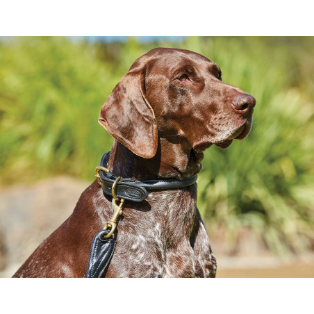 Hundehalsband Weatherbeeta rundes Leder