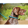 Hundehalsband Weatherbeeta rundes Leder - Blaugrün