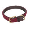 Geflochtenes Lederhundehalsband Weatherbeeta - Braun / Bordeaux