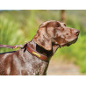 Weatherbeeta Lederhundehalsband - Braun