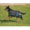 Hundedecke 220g Weatherbeeta Green-Tec 900D - Schwarz / Flaschengrün