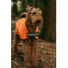 Reflektierende Hundedecke Weatherbeeta 300D - Orange