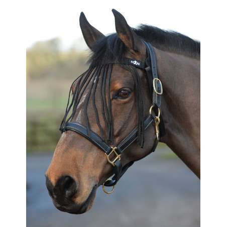 Fliegenfransen Saxon