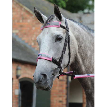4-teiliges reflektierendes Set für Trensenzaum Weatherbeeta