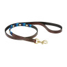 Weatherbeeta Leder-Hundehalsband Polo - Braun Cowdray / Blau / Blau