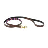Weatherbeeta Leder-Hundehalsband Polo - Marron Cowdray / Violett / Violett