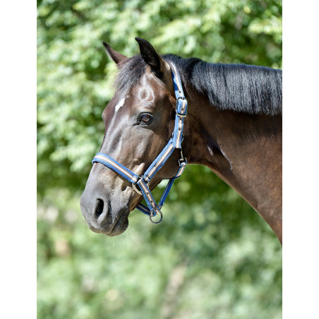 Weatherbeeta Coordinate Halfter