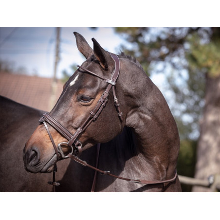 Bridon Friday kombiniertes Reithalfter Jump'In Week