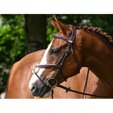 Bridon Jump'In Tuesday kombiniert Reithalfter Woche