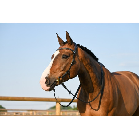 Trense Liberty Jump'In One