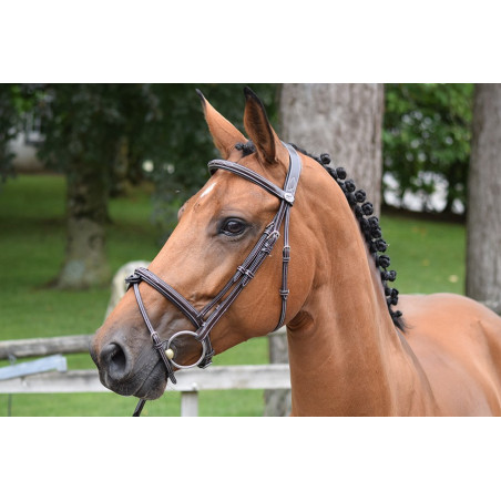 Bridon Thursday kombinierter Nasenriemen Jump'In week