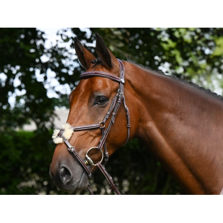 Bridon Thursday mit kombiniertem Reithalfter Jump'In Week