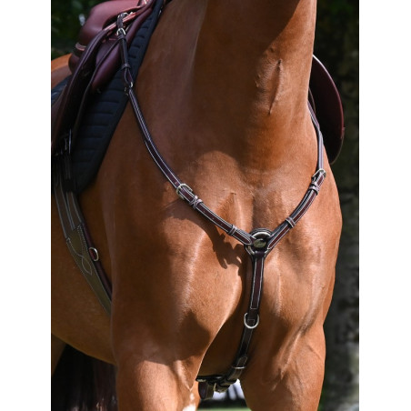 Brustblatt Tuesday Jump'In week