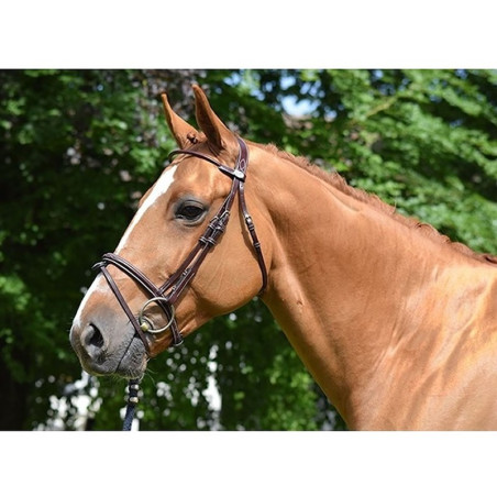 Filet Jump'In Monday kombiniertem Reithalfter week