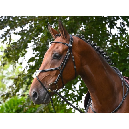 Filet Jump'In Monday kombiniert Reithalfter Woche