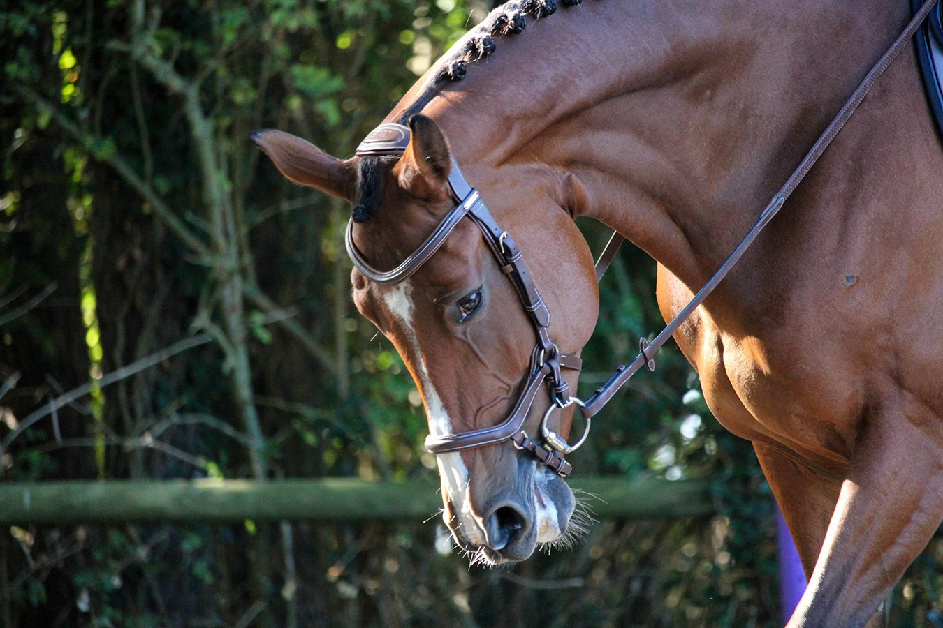 Filet Jump'In New York One Haselnuss Braun Filet Jump'In New York One Haselnuss Braun