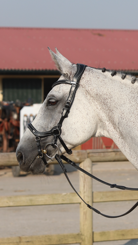 Filet Jump'In New York One Haselnuss Braun Filet Jump'In New York One Haselnuss Braun