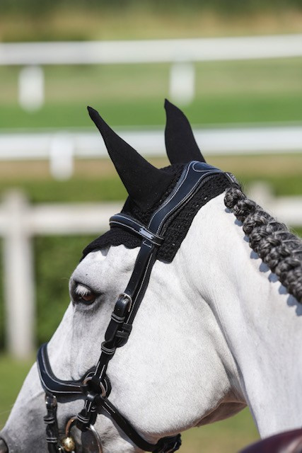 Filet Jump'In New York One Haselnuss Braun Filet Jump'In New York One Haselnuss Braun