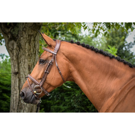 Filet Jump'In Paris One