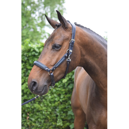 Kristallhalfter Jump'In Woche