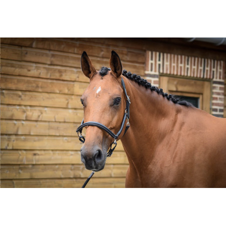 Putzhalfter Jump'In One