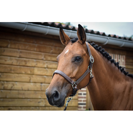 Halfter Fancy Jump'In One