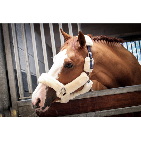 Halfter Jump'In Soft One