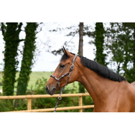 Reisehalfter Jump'In One